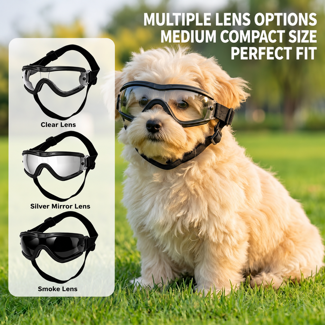 Dog Goggles for Small Medium D - Sunglass Retainer Cord ulasan dan harga